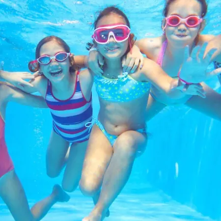 Climatise, Animaux Acceptes - 6 Pers. - Api-1-52-2547 Camping