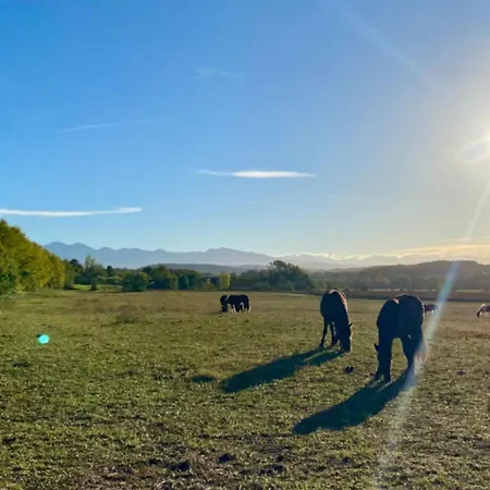 Camping Climatise, Animaux Acceptes - 6 Pers. - Api-1-52-2547