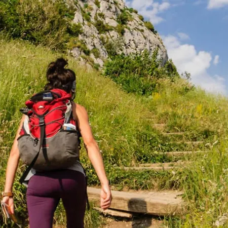 Climatise, Animaux Acceptes - 6 Pers. - Api-1-52-2547 Camping *