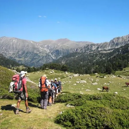 Climatise, Animaux Acceptes - 6 Pers. - Api-1-52-2547 Camping Camon (Languedoc-Roussillon)
